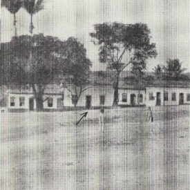 Imagem padrão